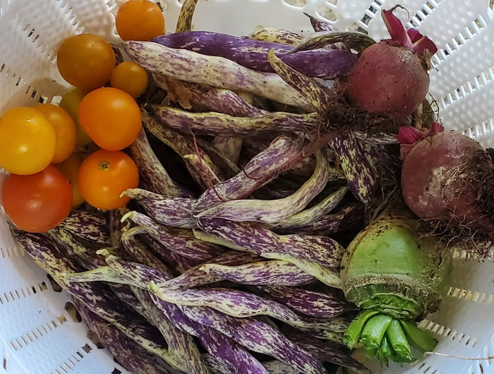 Fresh vegetables and ingredients used by Chef Shaby y Su Mai for weekly gourmet meal prep